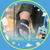 ♡🍼นิ้วเท้า ของน้อง มิก x bus ꒱🌷 (@emmikimasaru) Twitter profile photo ♡🍼นิ้วเท้า ของน้อง มิก x bus ꒱🌷 (@emmikimasaru) Twitter profile photo