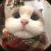 G. (@gongkoumuchu) Twitter profile photo G. (@gongkoumuchu) Twitter profile photo