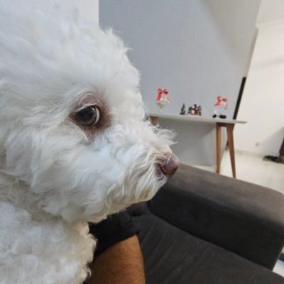 Lksgnl_'s profile picture. flamengo

02'