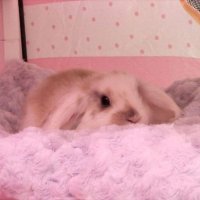 Ale ✿ (@ilovemybf2904) 's Twitter Profile