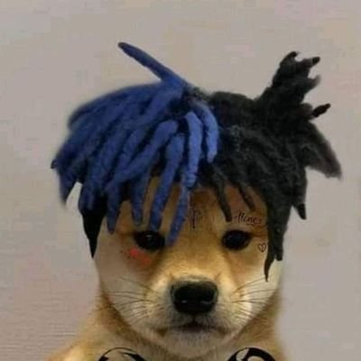 edure15's profile picture. cada día más inutil..🥷🏽👎😪🧱