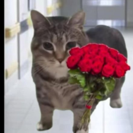 jeff_unk's profile picture. 