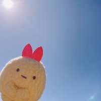 虎の柴 (@ozfr2xc1gp45506) 's Twitter Profile