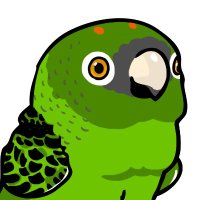 すっとこのおねえちゃん。( 'ω' و(و (@bdsgk) 's Twitter Profile