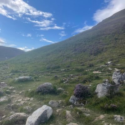 skepta225610529's profile picture. WZRD #Trump