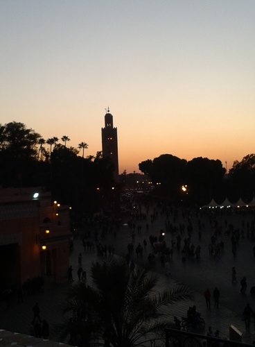 sagachris's profile picture. 