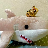 サメのさだめ (@oo4oo1oo9oo) 's Twitter Profile