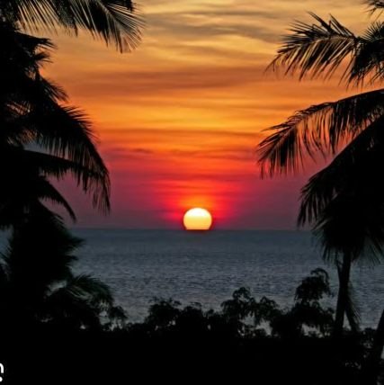 MiladaInTheArts's profile picture. 