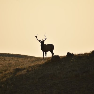 GraniteRanch40's profile picture. I’ve traveled all over this planet and I can say that if you look hard enough, you can find some good in just about everyone.