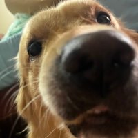 R Narayan (@bitoffabyte) 's Twitter Profile Photo
