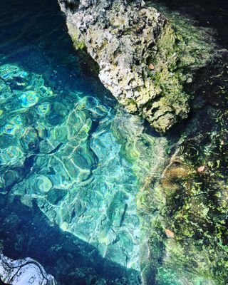 king21coulina's profile picture. 