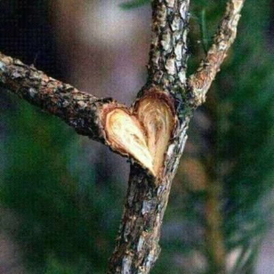 NetStarnet307's profile picture. Ok