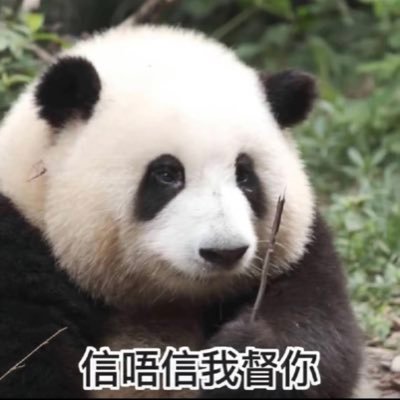 EvanoffLoo's profile picture.