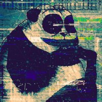 PANDA ๐ (@kozykoala_) 's Twitter Profile