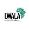 LwalaCommunity's profile picture. Unlocking the potential of communities to advance their own comprehensive wellbeing. When communities lead, change is lasting.