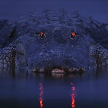 Hino_OGMC's profile picture. 最高の凡人。臨床検査技師。心臓の勉強中。超音波検査士(心臓・血管)。認定ICLSインストラクター。基本いいねbot。ドカ食い気絶部。裏方。超絶シャイボーイのため、無言フォローします、すみません。仲良くしていただけると、泣いて喜びます。