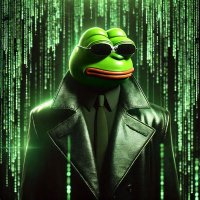 Neo (@pepecoinmaxxer) 's Twitter Profile