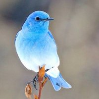 Lily Aurora (@danielr51654802) 's Twitter Profile Photo Lily Aurora (@danielr51654802) 's Twitter Profile Photo