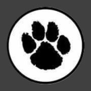 guillaumesouch's profile picture. 