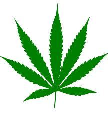 I smoke pot, a lot. and then do things when I'm high.