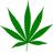 Mary Jane Kush - @ThingsIdoWhenHi - Twitter
