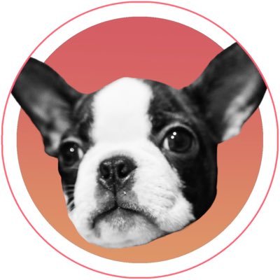 #Bostonterrier / ♂ /🎂2024.09.20 / しがない20代独身女の提供でお送りいたします/TikTokとInstagramも是非▶️ https://t.co/BdgqKWeIpQ