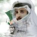 الحقيقة (@rwt60464076) Twitter profile photo الحقيقة (@rwt60464076) Twitter profile photo
