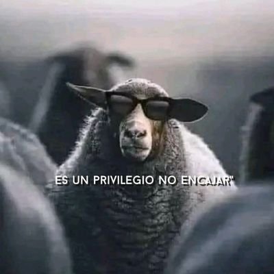 ReinaDania95286's profile picture. 