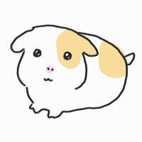 멕 (@loveyourguinea) 's Twitter Profile Photo