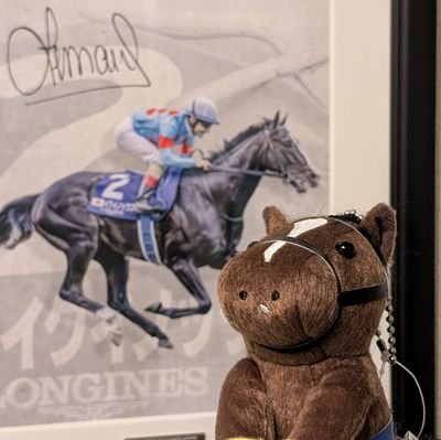 yoshi_0930_kb's profile picture. キタサンブラック一族の応援と撮影をしています。府中と中山によく出没します。
出資馬：【DMMバヌーシー】ヴィヴァラヴィスタ