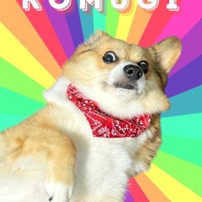 こむぎページ コーギー🦊こむぎ🦊♀さん (@komugi_1007) / X