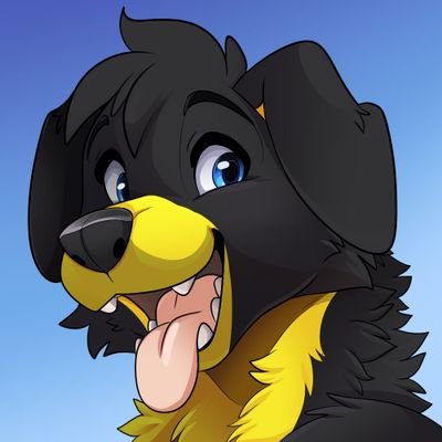 Haydo θΔ Profile
