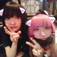 ましゅまろうさぎ (@guimauve_rabbit) 's Twitter Profile