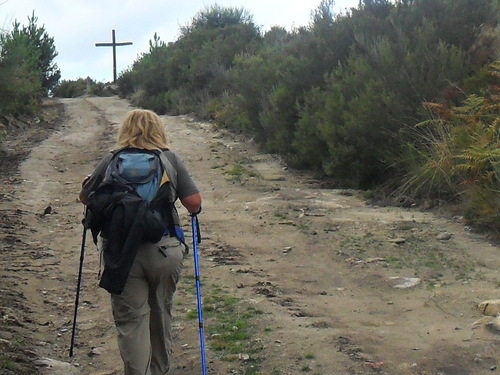 Author of Tortoises on the Via de la Plata Walking a Camino to Santiago - the story of a woman who realised her dreams against the odds.