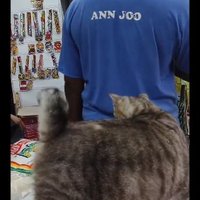 jeanpaul (@loreanwindow) 's Twitter Profile