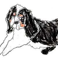 waca (@ii7pop) 's Twitter Profile