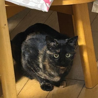 もいさんのプロフィール画像