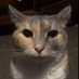 π¦ (@woozindy) Twitter profile photo π¦ (@woozindy) Twitter profile photo