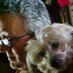 Terry R Barca🏀🦘🛌🎙📷🐶😎✏️ (@terryrbarca1) Twitter profile photo Terry R Barca🏀🦘🛌🎙📷🐶😎✏️ (@terryrbarca1) Twitter profile photo