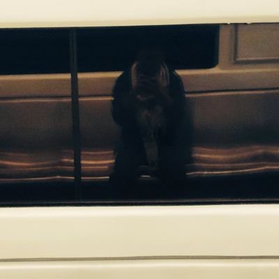 _Zamshed's profile picture. कुछ खास नहीं