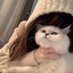 ♡ (@_po_j) Twitter profile photo ♡ (@_po_j) Twitter profile photo
