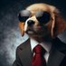 Doguinho Do Link (@doguindolink) Twitter profile photo Doguinho Do Link (@doguindolink) Twitter profile photo