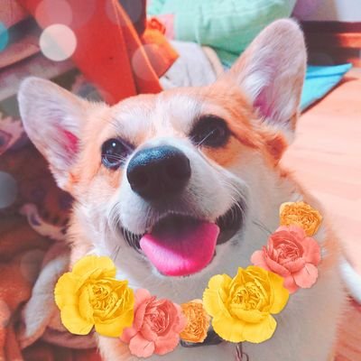 tami_tamu_mayoo's profile picture. timelesz/セクゾ🌹風磨くんが大好きで箱推しのセクラバ。ふまけん。ケンティーもマリウスも変わらず大好き!!新生timeleszも全員大好きです!!
事務所の他グループもみんな応援してます
素敵なヘッダーはもも様(@momowsz )です🌹