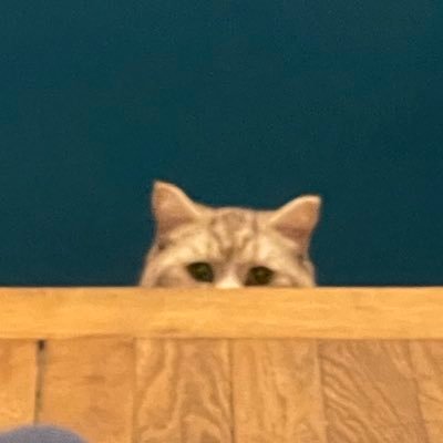 samuel_benh's profile picture. 