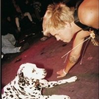 norton (@campnator) 's Twitter Profile
