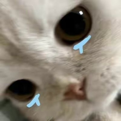 xiaozhi222222's profile picture. 此时有一个很幸福的人在读这句话 凌晨两点一定睡 一定 一定..