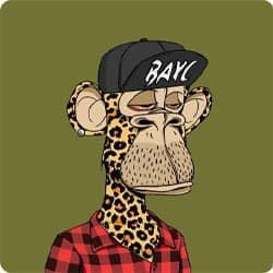 DBleakz88099's profile picture. 