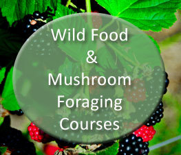 Biggest online directory of courses that show you how to make the most of natures larder.