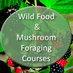 Tim (@foragingcourses) Twitter profile photo Tim (@foragingcourses) Twitter profile photo