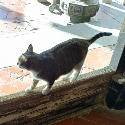 PPYGIRLFREEN's profile picture. ❤️🌷